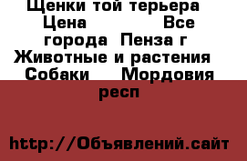 Щенки той терьера › Цена ­ 10 000 - Все города, Пенза г. Животные и растения » Собаки   . Мордовия респ.